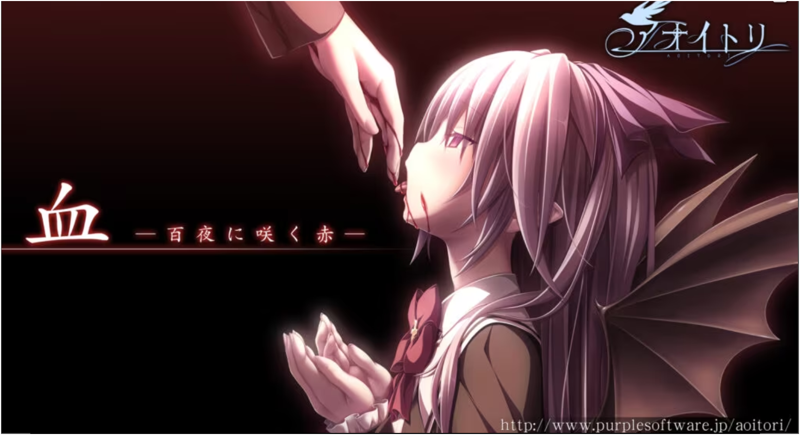 青鸟-Animation_Rcy[R站]